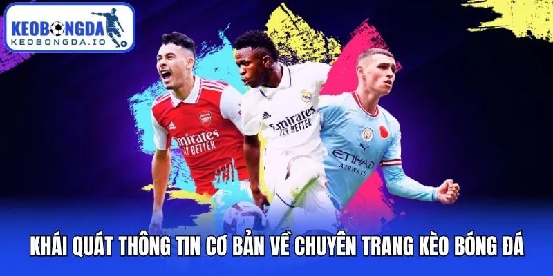 Kèo bóng đá 7 Khái quát thông tin cơ bản về chuyên trang Kèo bóng đá
